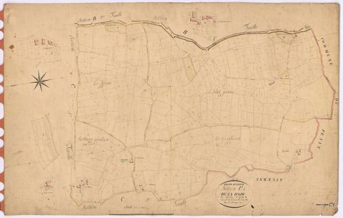 Grand-Auverné - Section C1 Haie (section de La)