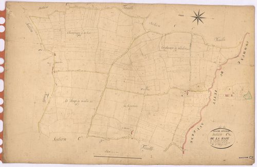 Grand-Auverné - Section C2 Haie (section de La)
