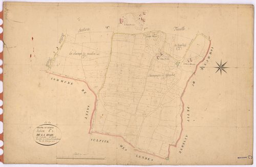 Grand-Auverné - Section C3 Haie (section de La)