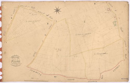 Grand-Auverné - Section C4 Haie (section de La)