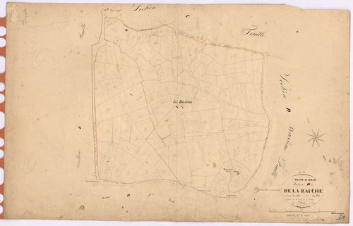 Grand-Auverné - Section D1 Bauche (section de La)