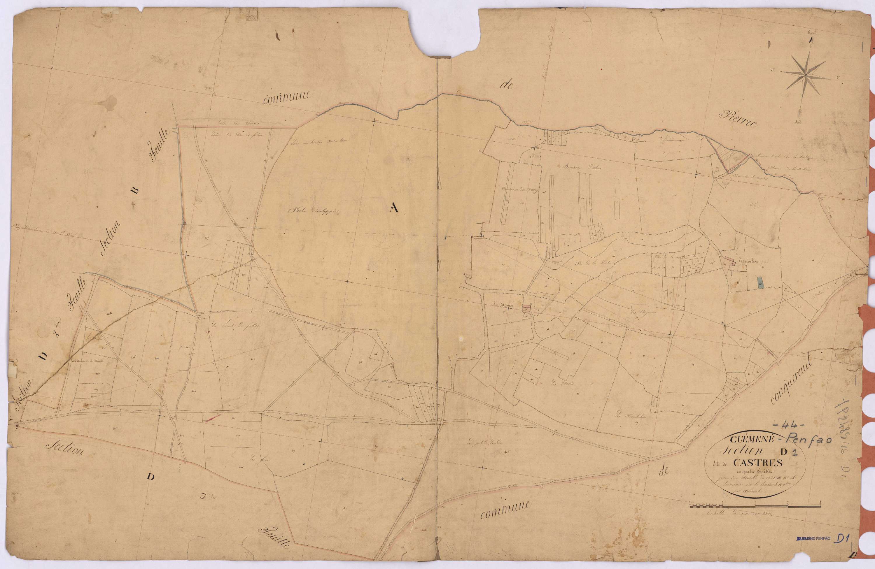 Guémené-Penfao - Section D1 Castres (section de) ; 1-443