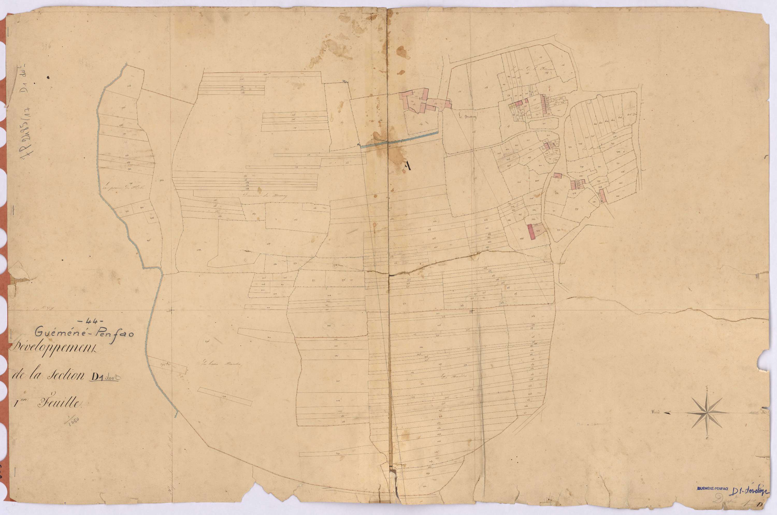 Guémené-Penfao - Section D1 (développement) Castres (section de) ; 1-443 ; développement du polygône A