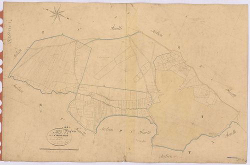 Guémené-Penfao - Section P2 Coisnerion (section de) ; 55-771