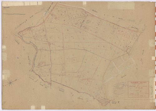 Guémené-Penfao - Section P1 Coisnerion (section de) ; 1-173