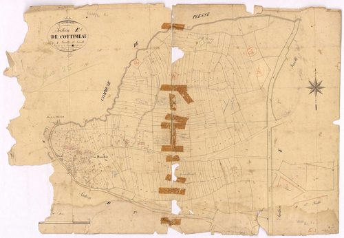 Guenrouet - Section E1 Cottimeau (section de) ; 1-316
