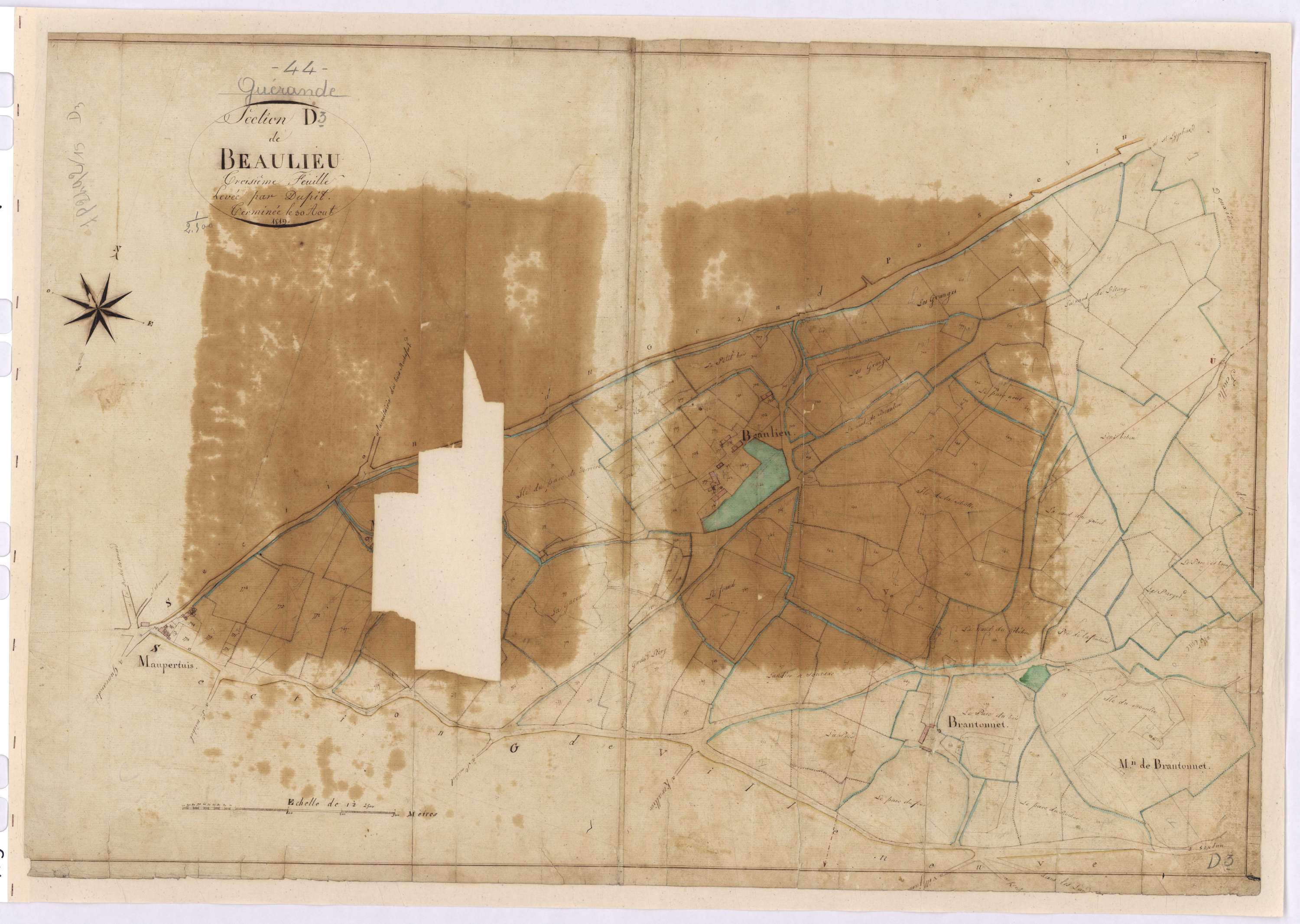 Guérande - Section D3 Beaulieu (section de)