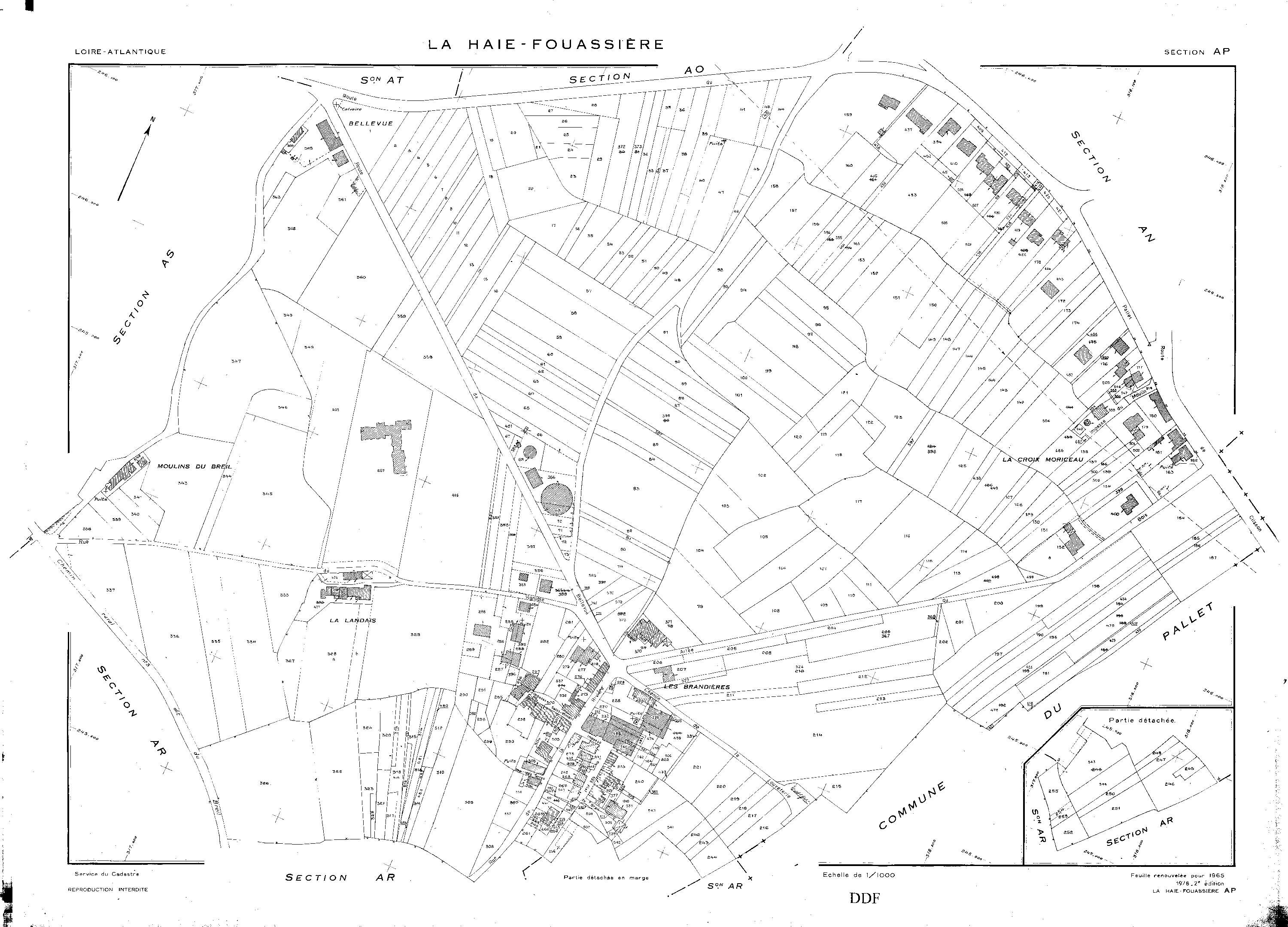 La Haie-Fouassière - AP