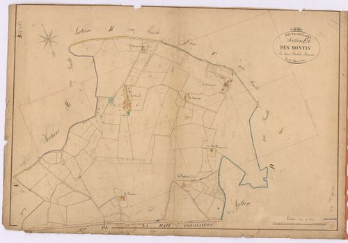 Haute-Goulaine - Section E1 Montis (section des)