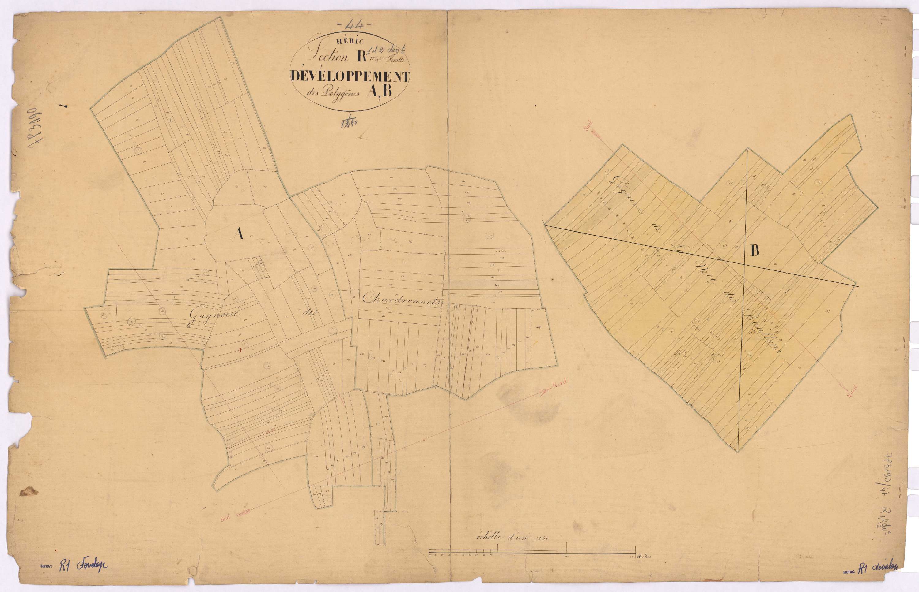 Héric - Section R1 R2 (développement) Lintin (section du) ; 1-491 ; développement du polygône A