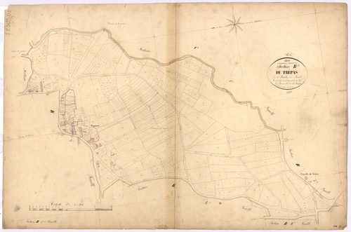 Jans - Section B5 Trépas (section du) ; 884-1193