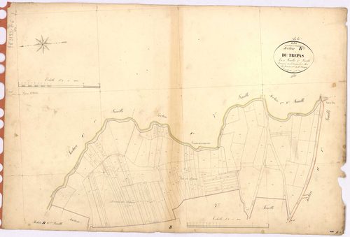 Jans - Section B6 Trépas (section du) ; 1194-1315