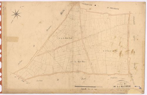 Joué-sur-Erdre - Section H2 Braudière (section de La)