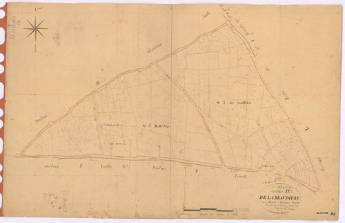 Joué-sur-Erdre - Section H3 Braudière (section de La)