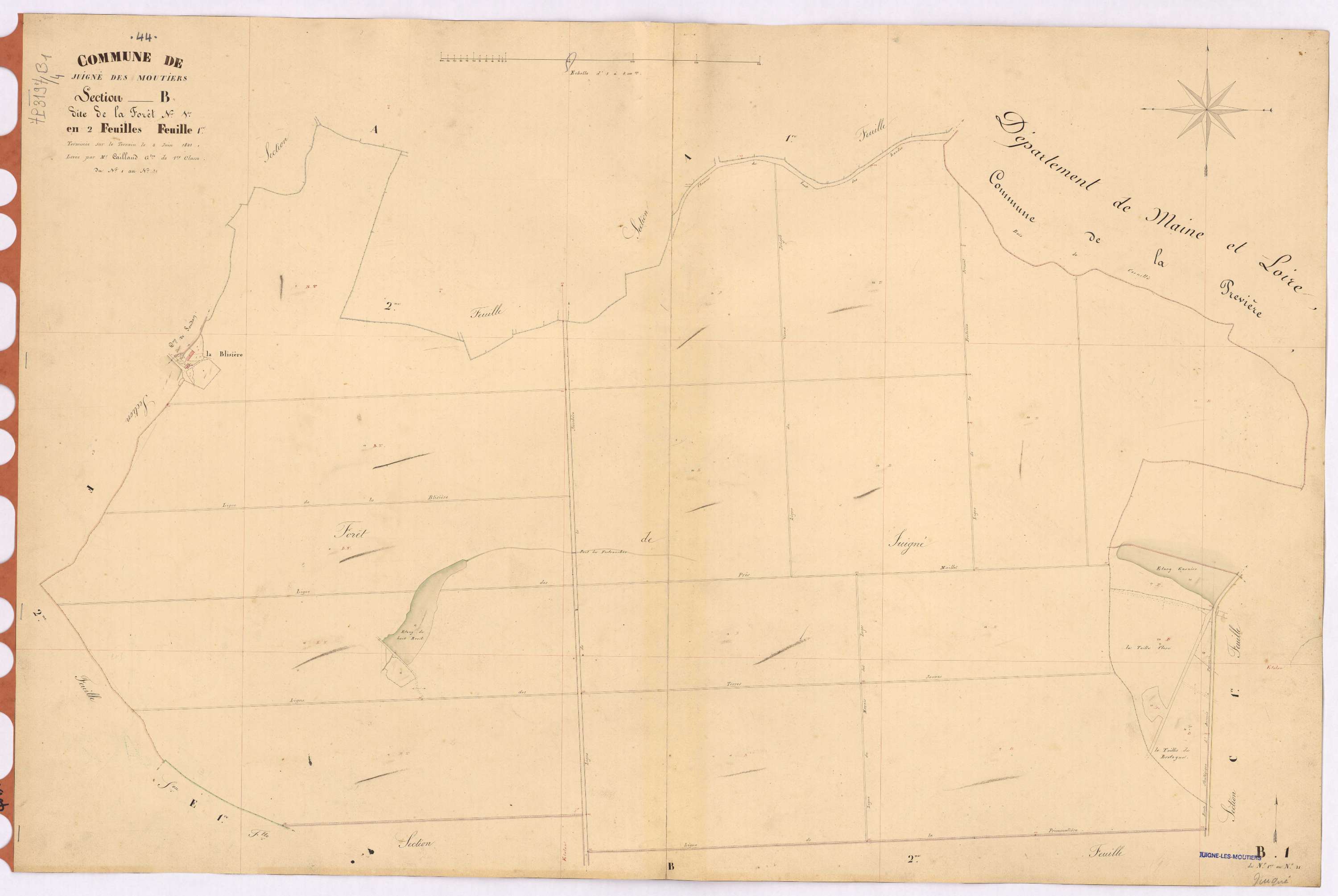 Juigné-des-Moutiers - Section B1 Forêt (section de La) ; 1-31