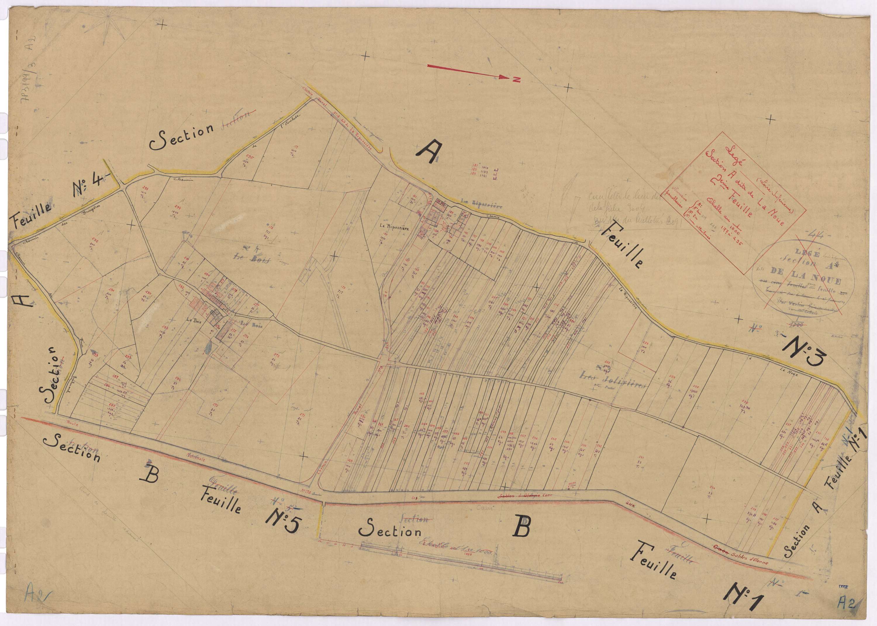 Lège - Section A2 Noue (section de La) ; 177-295