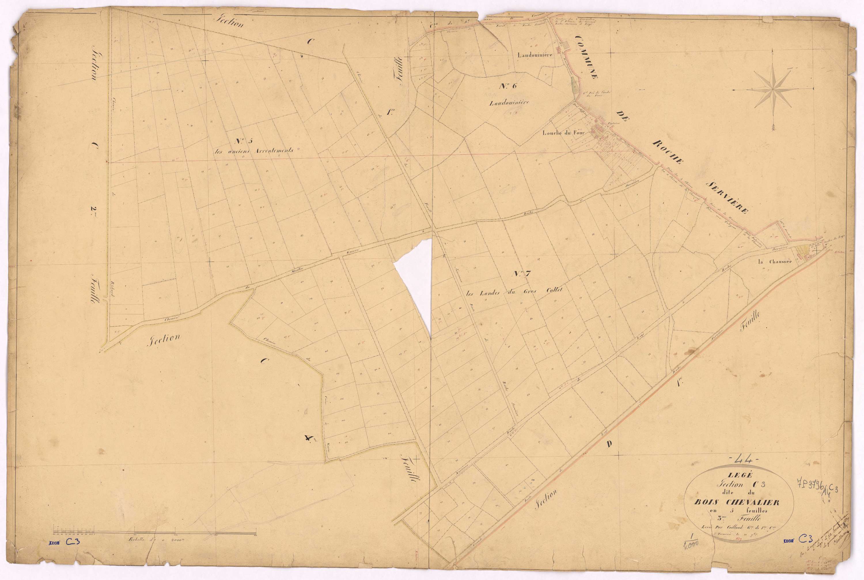 Lège - Section C3 Bois Chevalier (section du)