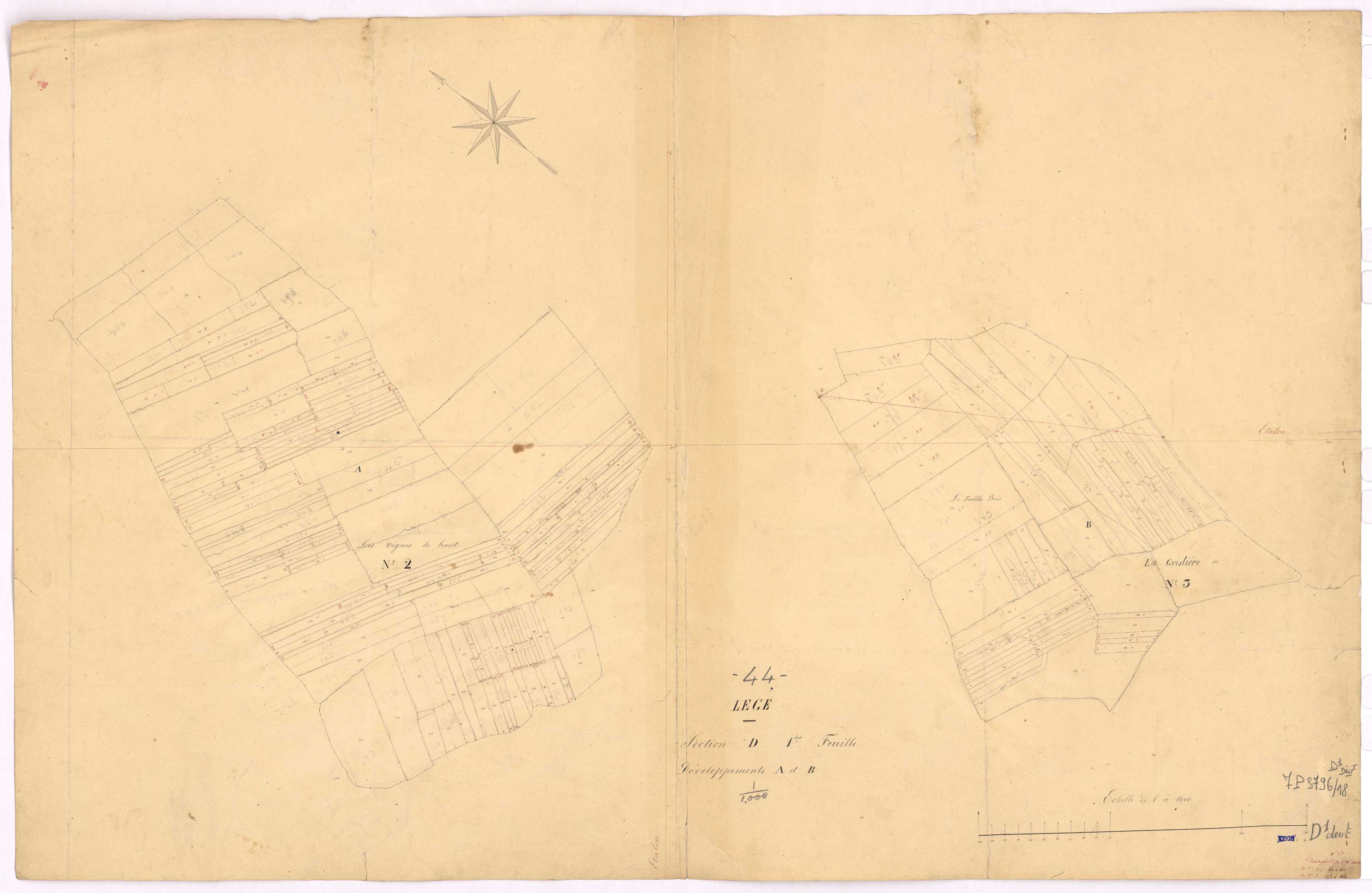 Lège - Section D1 (développement) Mesliers (section des) ; développement de diverses parcelles