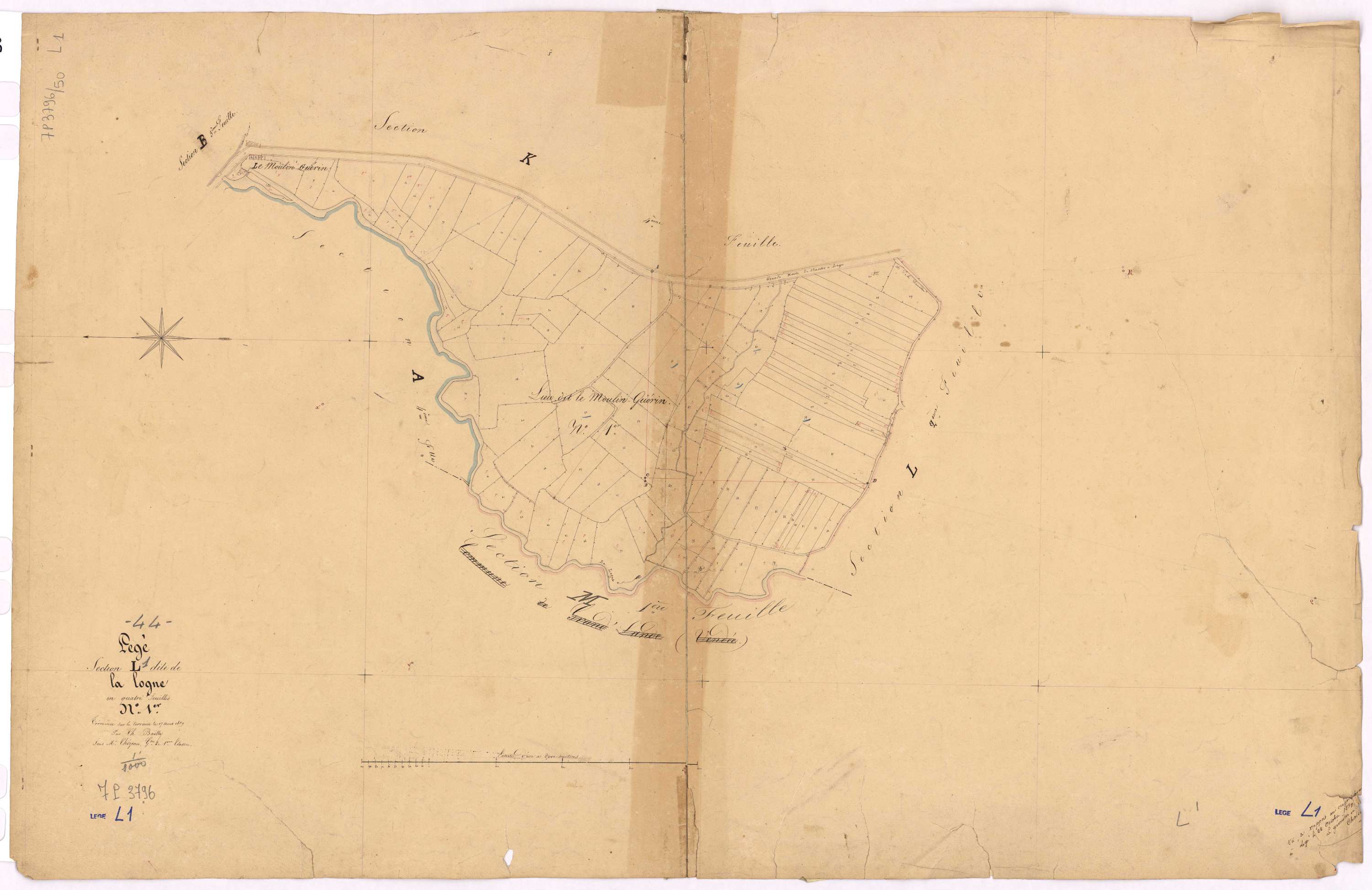 Lège - Section L1 Logne (section de La)