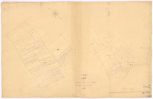Lège - Section D1 (développement) Mesliers (section des) ; développement de diverses parcelles