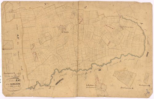 Lège - Section M1 Morlière (section de La)