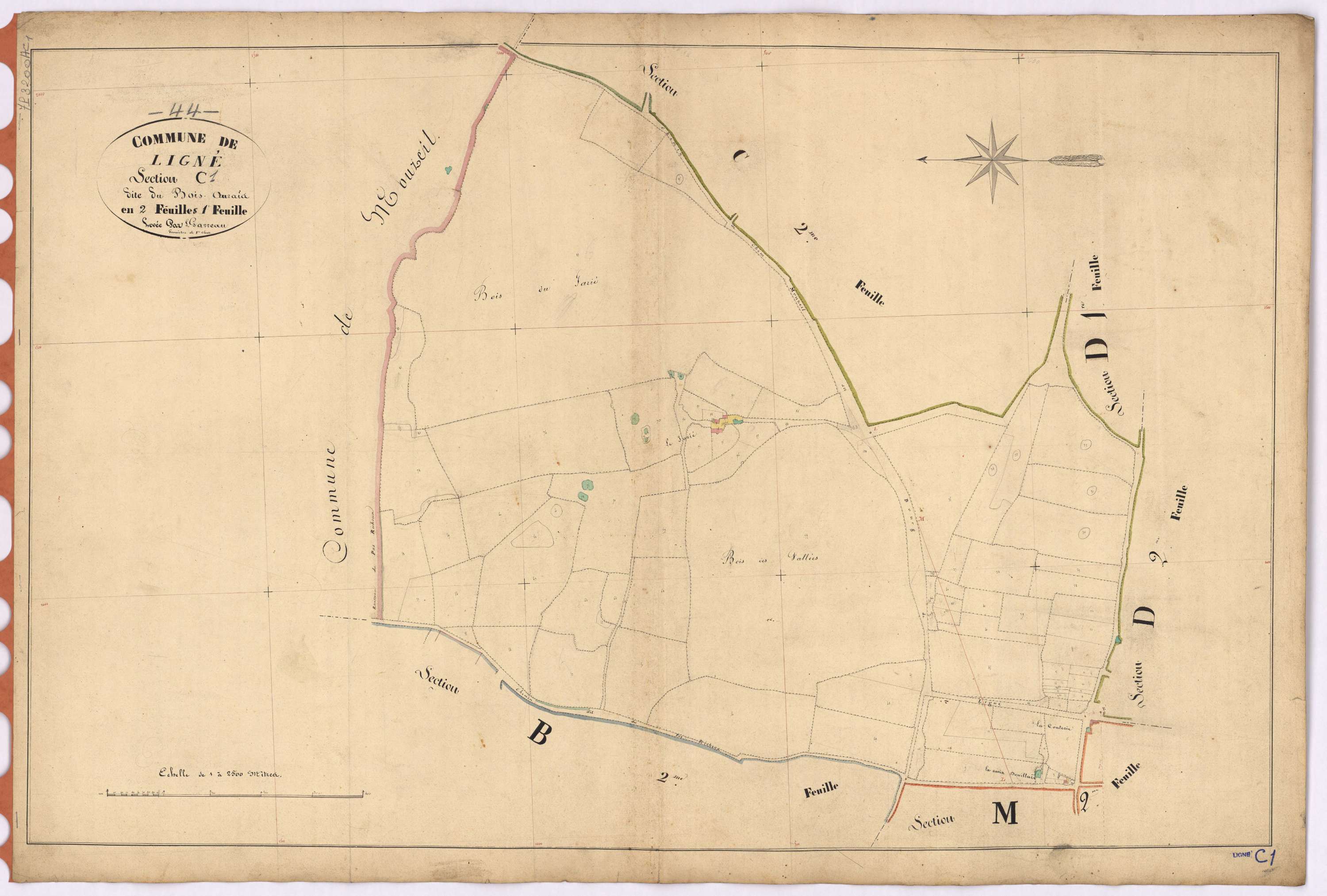 Ligné - Section C1 Bois Aurais (section du)