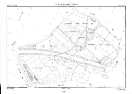 Le Loroux-Bottereau - AI