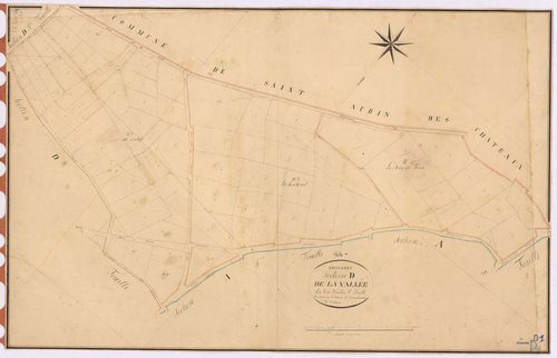 Louisfert - Section D1 Vallée (section de La)