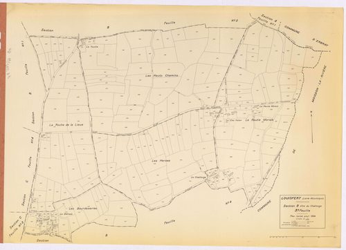 Louisfert - Section B3 Chatlonge (section du) ; 223-511