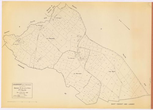 Louisfert - Section C1 Riolais (section de La) ; 1-247