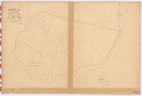 Lusanger - Section D1 Couétoux (section de) ; 1-231