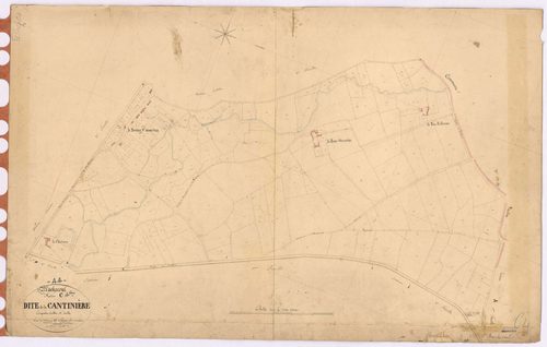 Machecoul - Section C4 Cantinière (section de La) ; 581-785