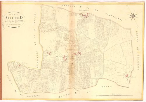 Maisdon-sur-Sèvre - Section D Bigotière (section de La)