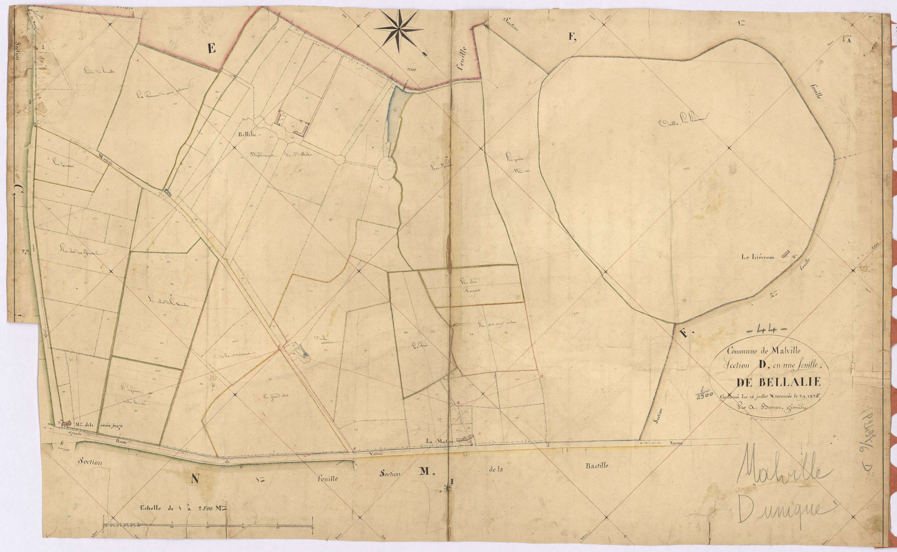 Malville - Section D Bellalie (section de)