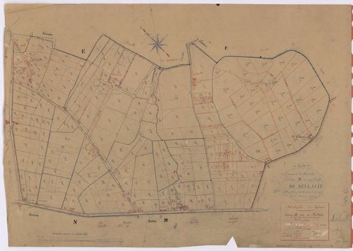Malville - Section D Bellalie (section de) ; 1-330