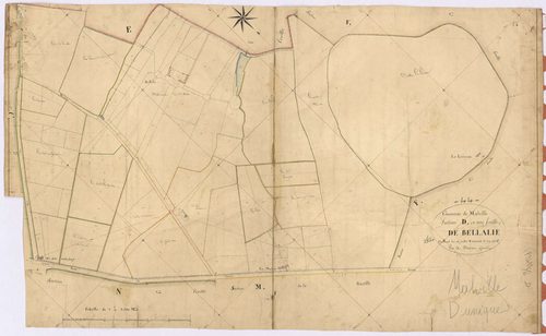 Malville - Section D Bellalie (section de)