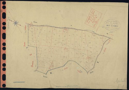 Malville - Section F1 Landes (section des) . 1-113