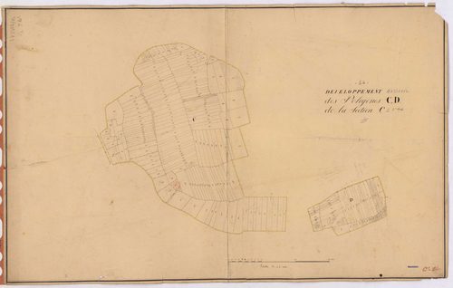 Massérac - Section C2 (développement) Coismo (section de) ; 658bis-1399bis ; développement des polygônes C et D