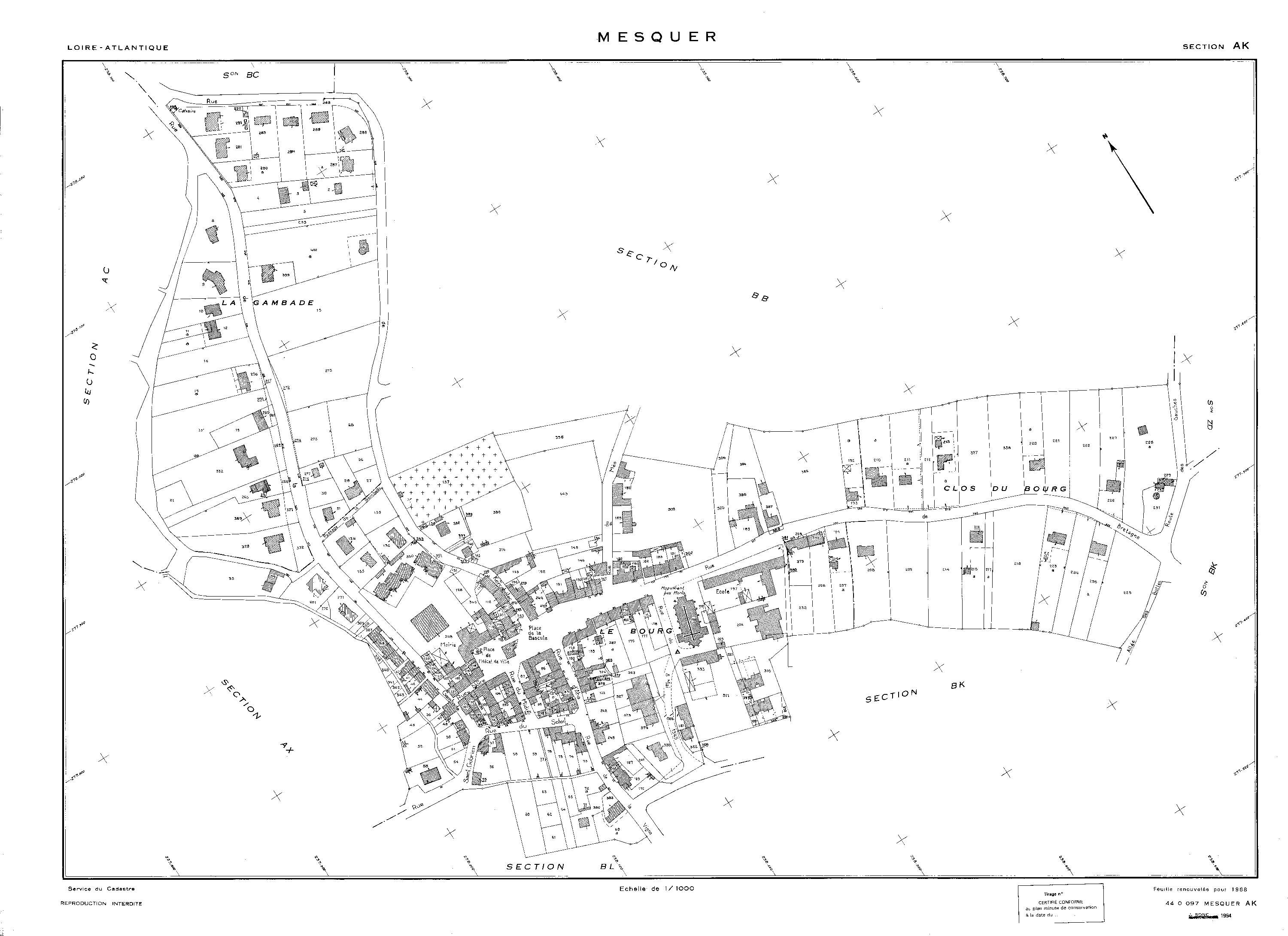 Mesquer - AK