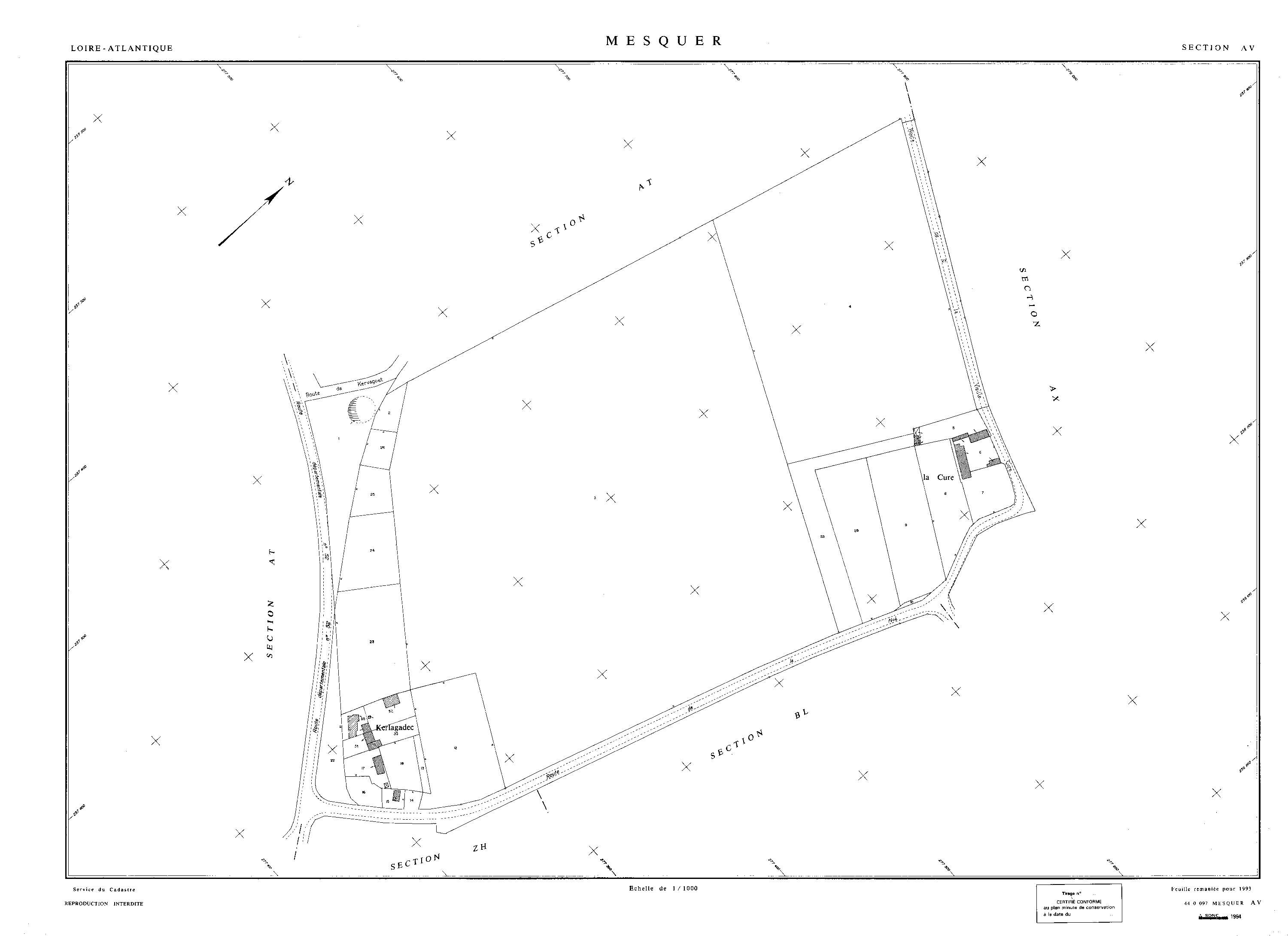 Mesquer - AV