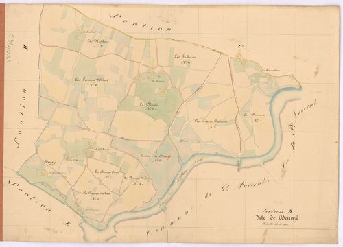 Moisdon-la-Rivière - Section D Denazé (section de)