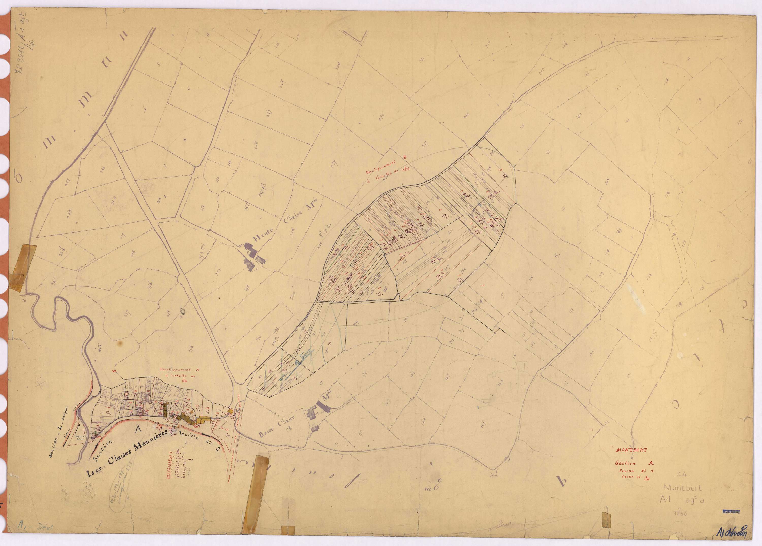Montbert - Section A1 (développement) Château (section du) ; 1-210 ; développement des parties A et B