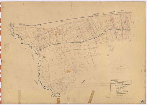 Montbert - Section F Bauche-Coëffée (section de La) ; 1-299