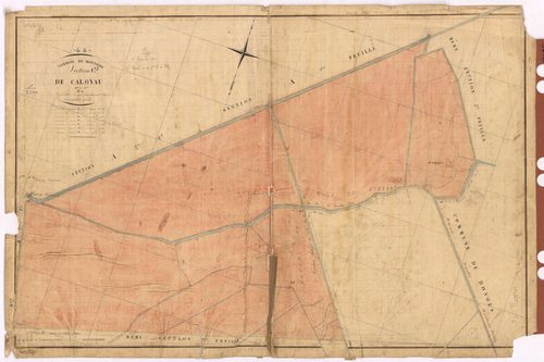 Montoir-de-Bretagne - Section C2 Caloyau (section de)