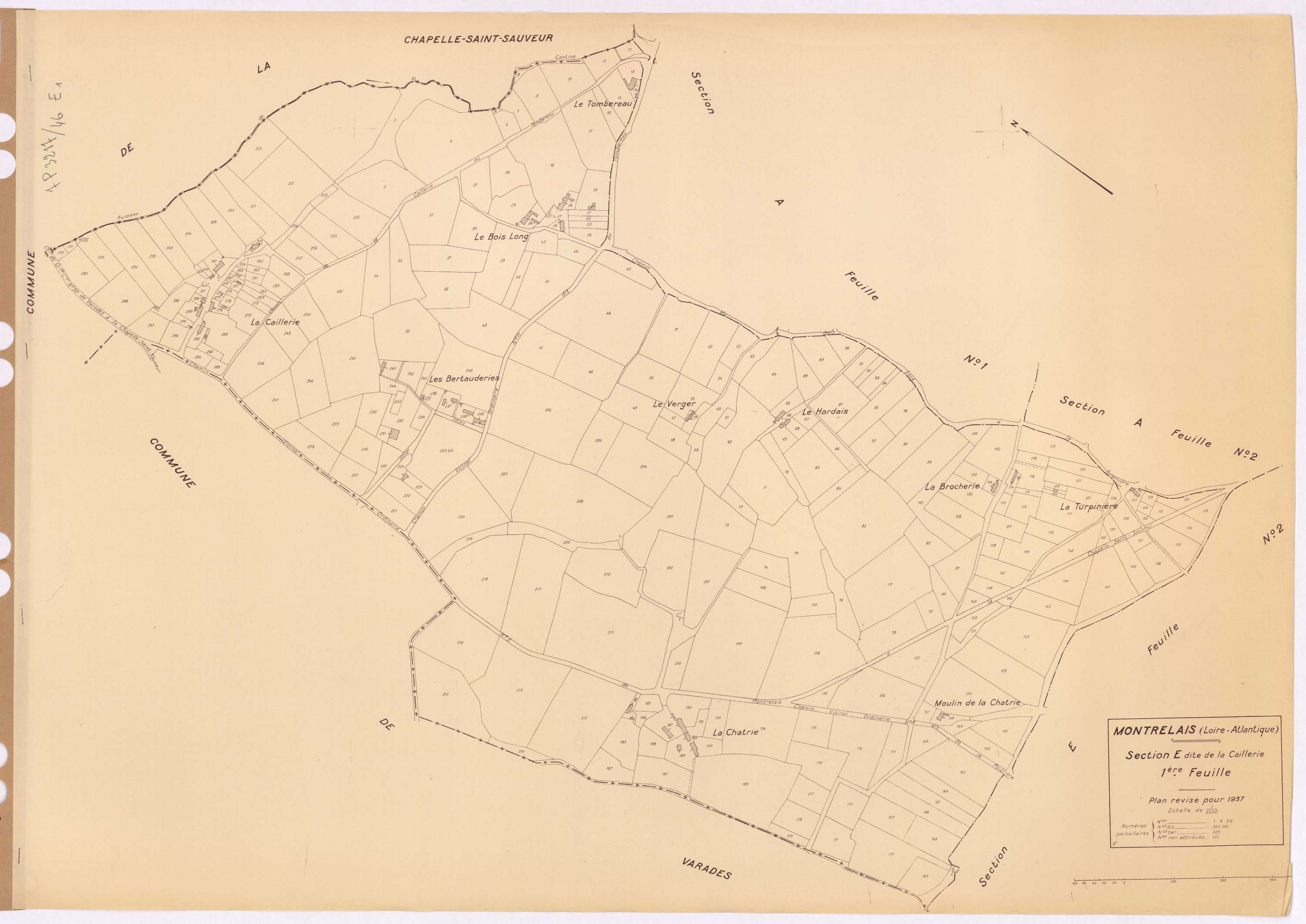 Montrelais - Section E1 Caillerie(section de La) ; 1-313
