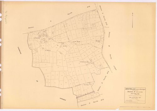 Montrelais - Section D1 Bois (section du) ; 1-272