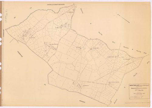 Montrelais - Section E1 Caillerie(section de La) ; 1-313