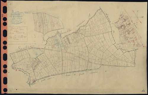 Mouzeil - Section A2 Cotinière (section de La) . 297-652