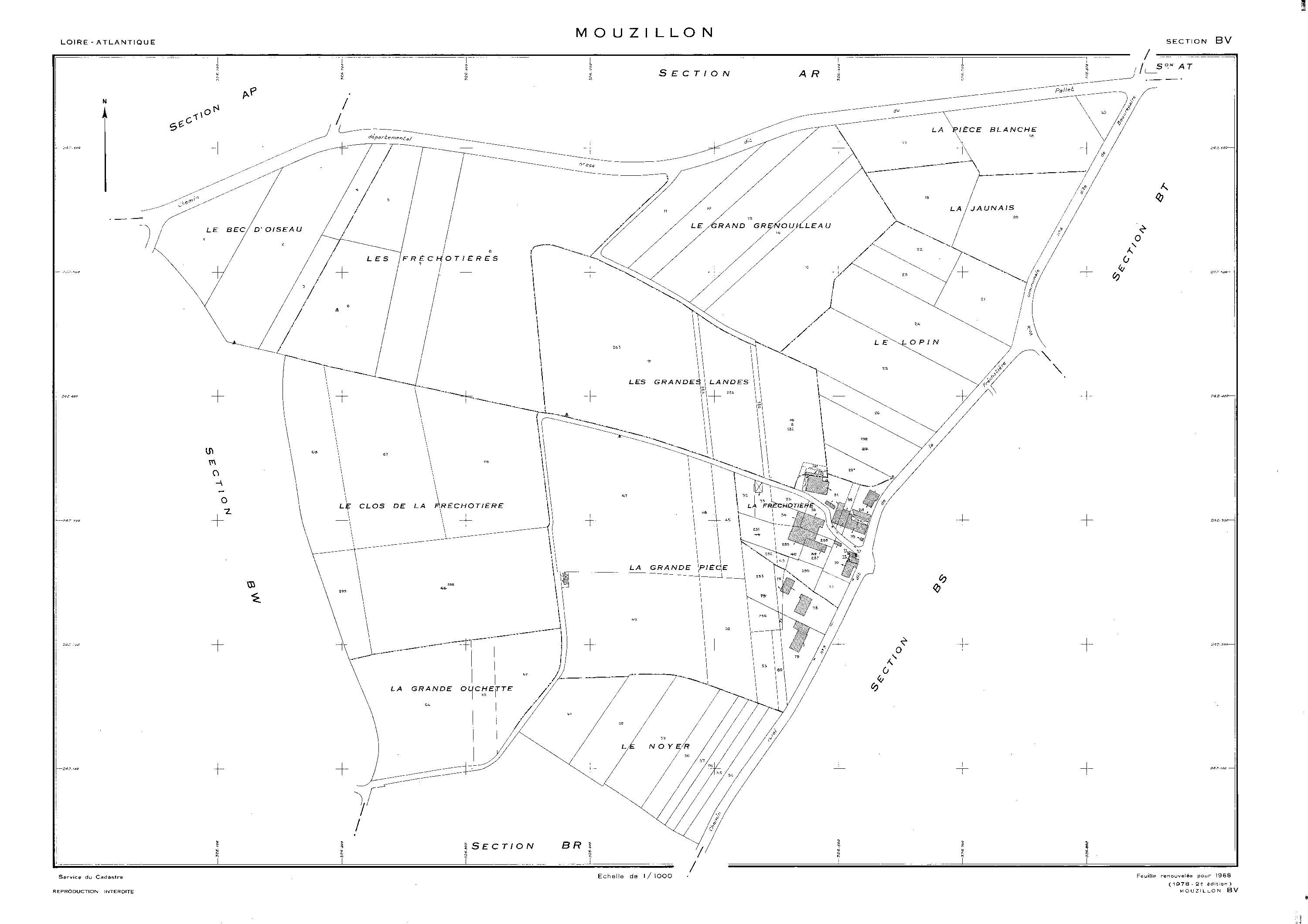 Mouzillon - BV