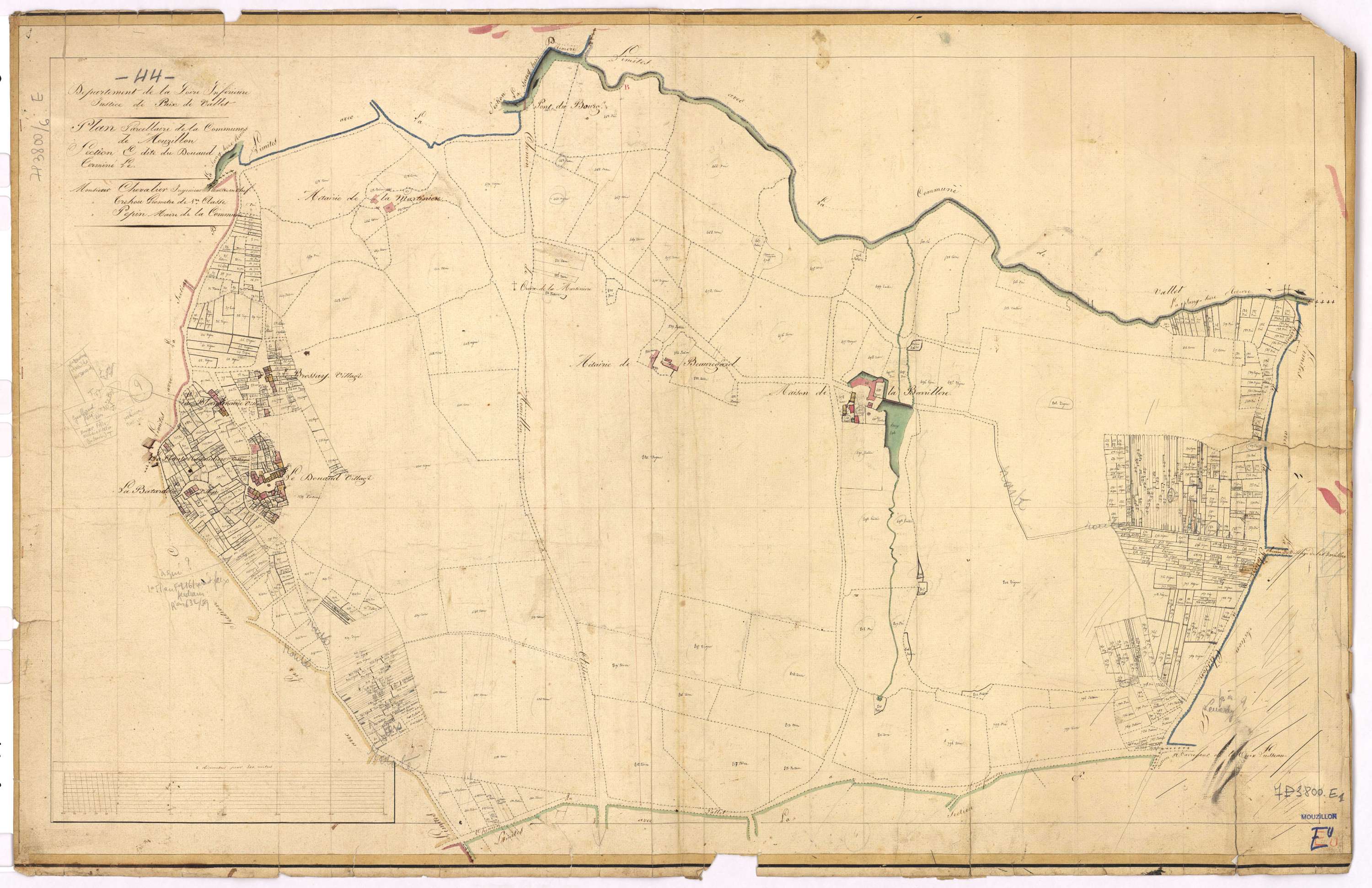 Mouzillon - Section E Douaud (section du)